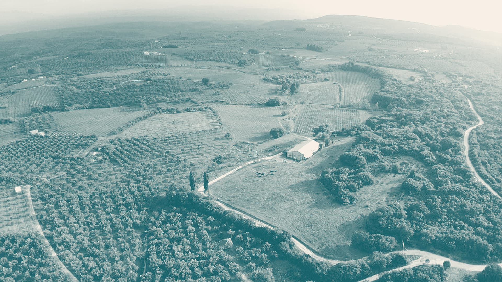 Aerial view of Messinian farmland