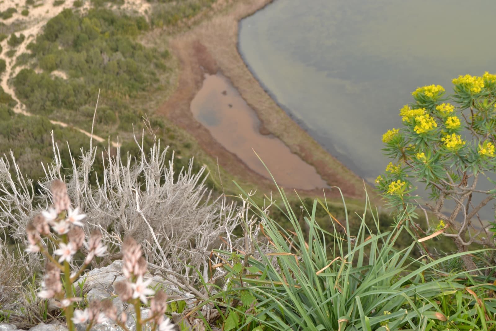Divari lagoon and beach from above