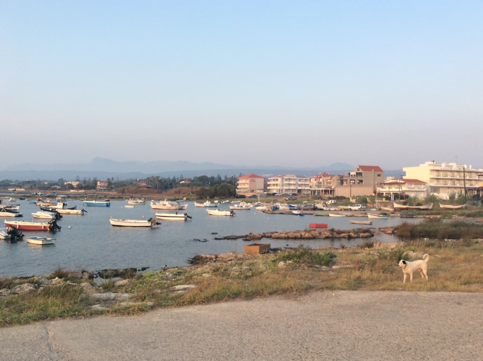 The harbour at Marathopolis, fishing boats moored in the afternoon