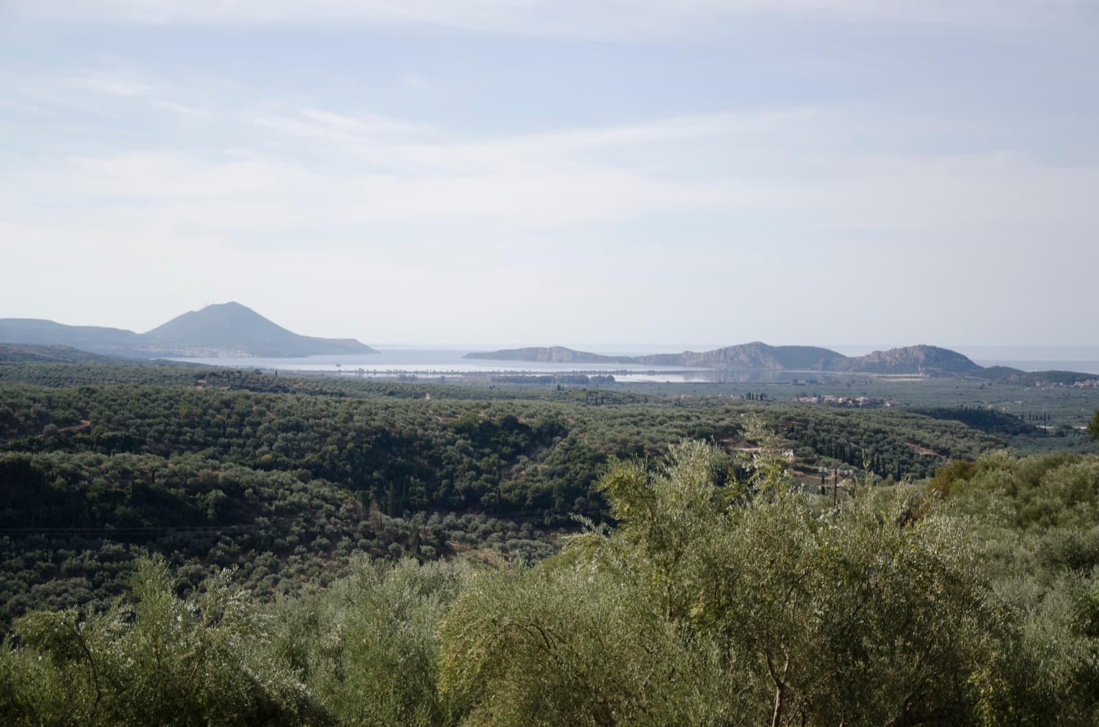 Navarino Bay seen from the Palace of Nestor — the coast he chose